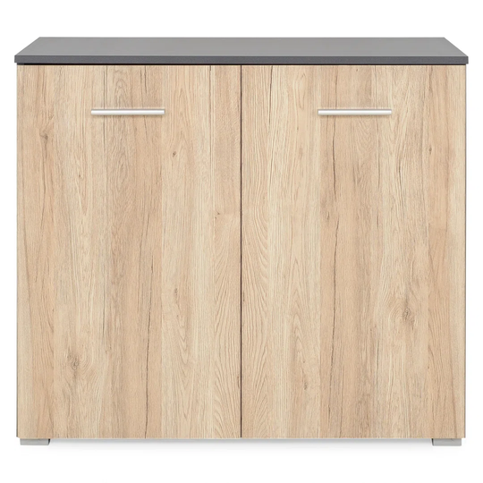Fanna 2-Door Accent Cabinet