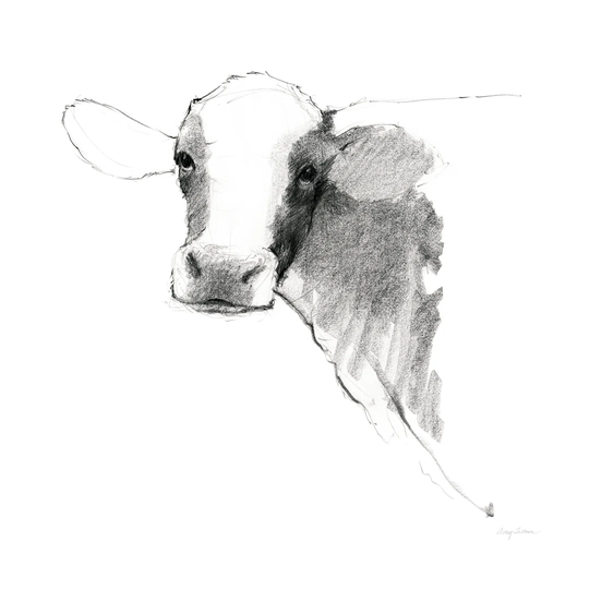 Cow II Dark Square by Avery Tillmon - Wrapped Canvas Drawing Print