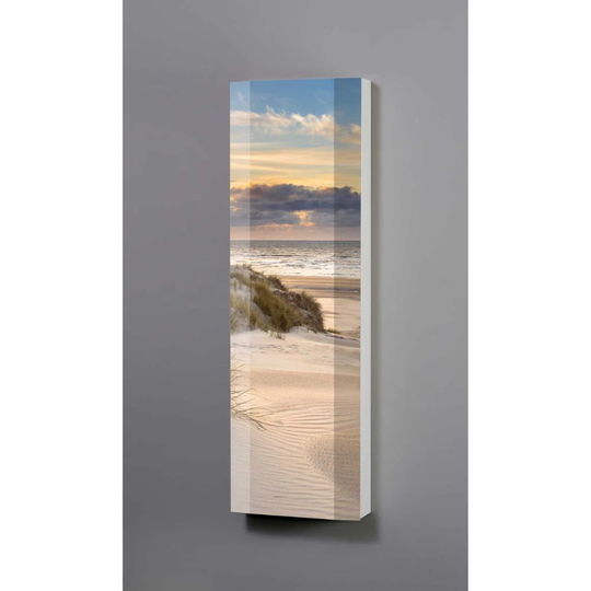 Haye 45Cm W x 145Cm H x 18Cm D Wall Mounted Bathroom Cabinet