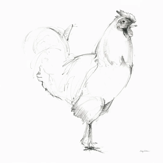 Rooster II by Avery Tillmon - Wrapped Canvas Drawing