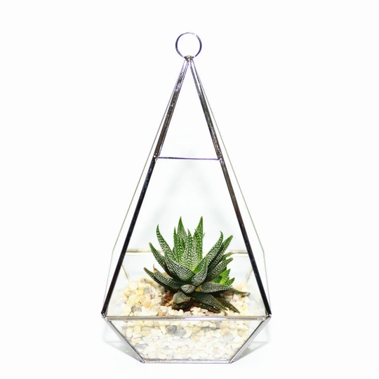 Diamond Glass Terrarium