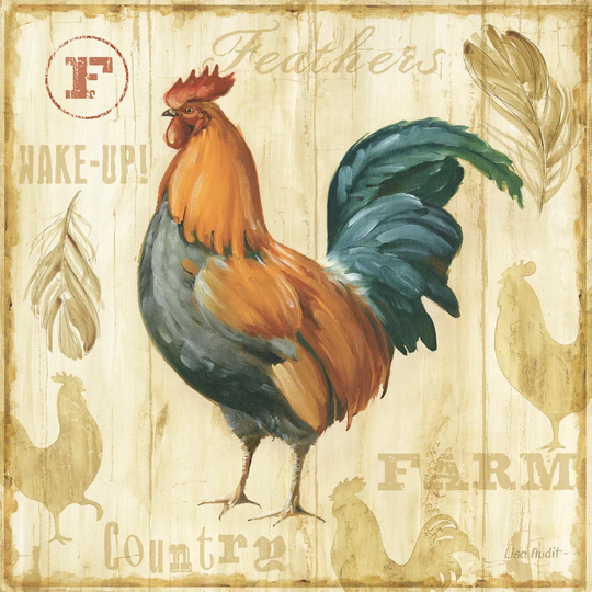 Joli Rooster IIC by Lisa Audit - Wrapped Canvas Painting Print