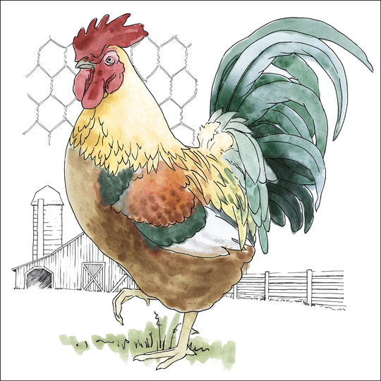 Fun at the Coop V by Beth Grove - Wrapped Canvas Graphic Art Print