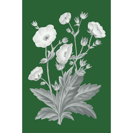 Green Botanical VI by Wild Apple Portfolio - Wrapped Canvas Painting