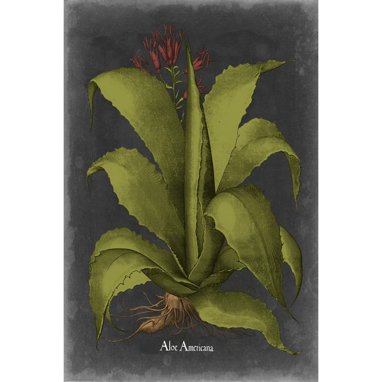 Besler Dramatique III by Vision Studio - Wrapped Canvas Graphic Art