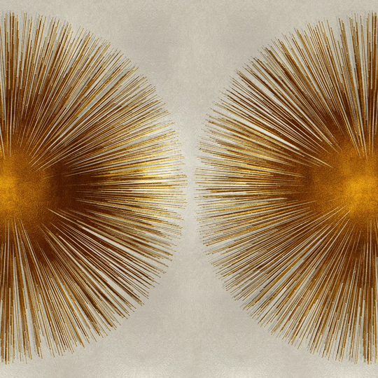 Bron Photographze Sunburst Ii by Abby Young - Wrapped Canvas Art Prints