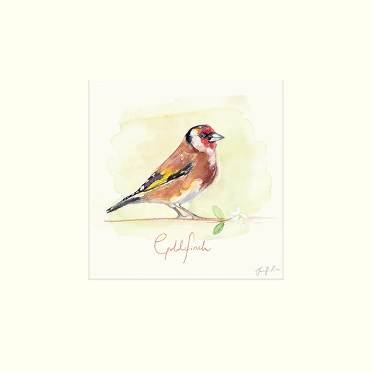 'Goldfinch' - Painting Print on Paper