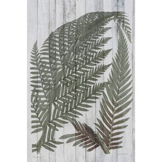 Rustic Greenery I by Studio W - Wrapped Canvas Graphic Art