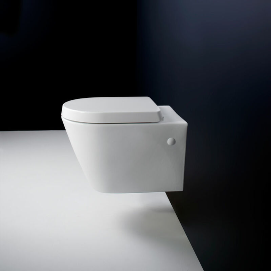 Rak Resort Wall Hung Toilet Rimless d Shaped Pan with Soft Close Seat