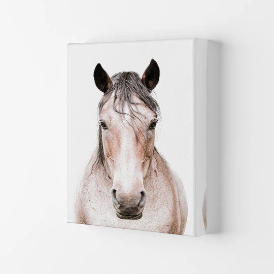 Horse by Victoria Frost - Photograph Print