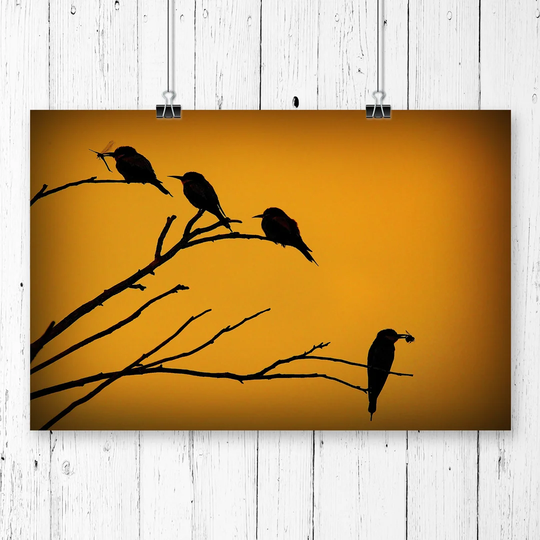 'Birds on the Branch of a Tree' Graphic Art