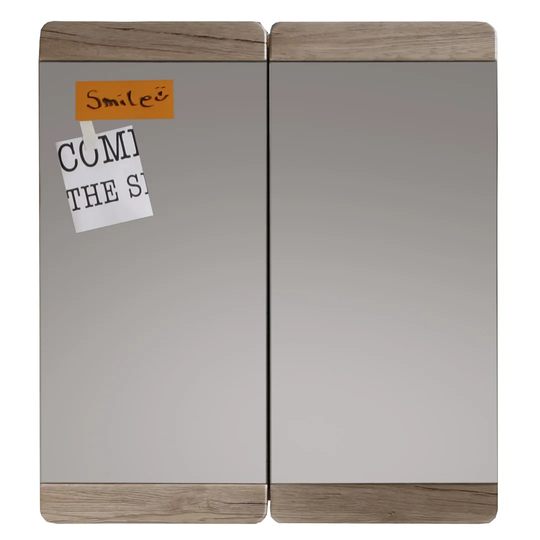 Gochenour 65cm x 70cm Surface Mount Mirror Cabinet