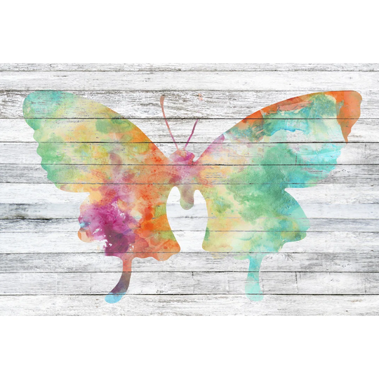 Wings on Wood II - Wrapped Canvas Painting
