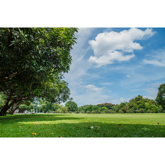 Field of Grass with Sky in the Background. by photonewman - Wrapped Canvas Photograph Print