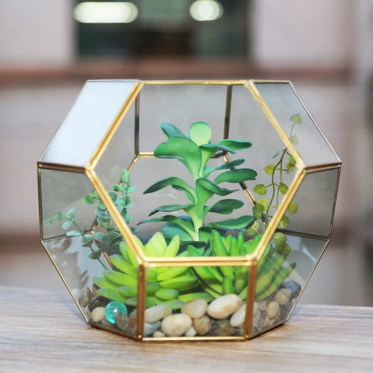 Critchfield Glass Terrarium