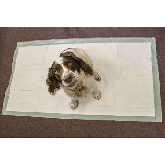 Dwyer Dog Toilet Training Pad