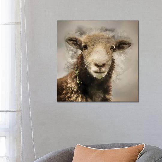 Herdwick by Mark Gemmell Acrylic Print
