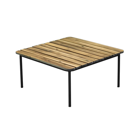Yashvi Steel Coffee Table