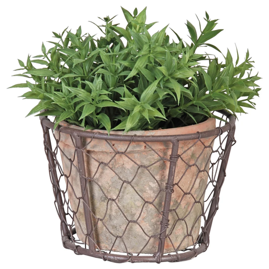 Terracotta Cachepot