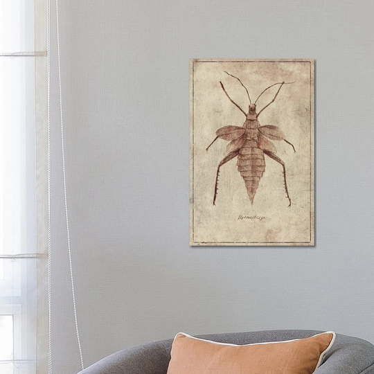 Heteroptryx C by Mike Koubou - Wrapped Canvas Art Prints
