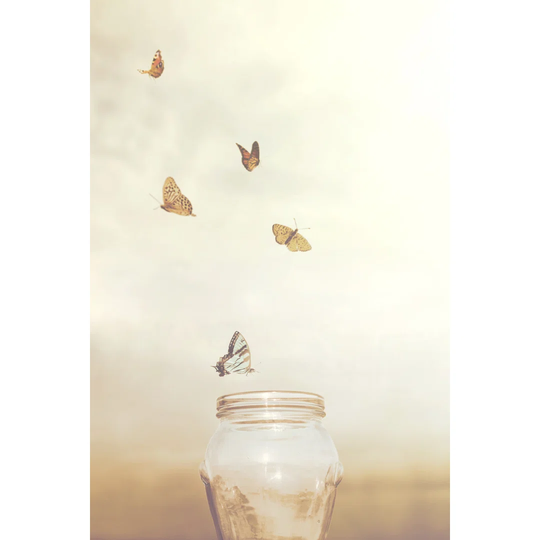 Butterflies Flying Over Vase by Fcscafeine - Wrapped Canvas Graphic Art