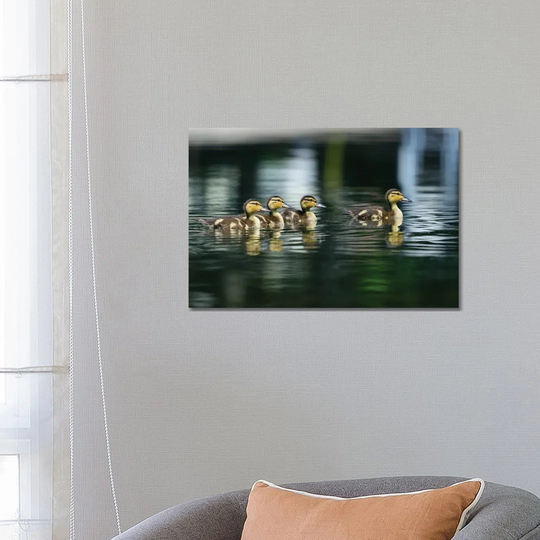 Where's Mom? by David Gardiner - Photograph on Canvas