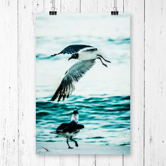 'Two Seagulls Seascape' Graphic Art