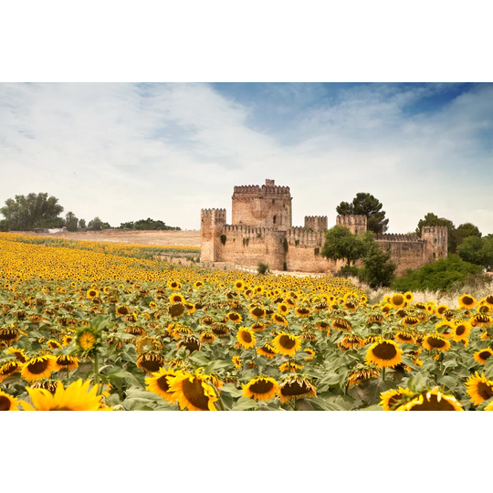 Spanish Castle With Sun Flowers