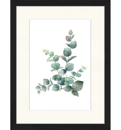 Eucalyptus Leaves - Picture Frame Graphic Art Print on Paper