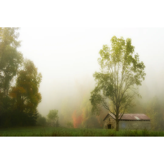 Fog At The Farm