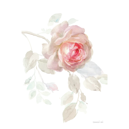 Gentle Rose I by Danhui Nai - Wrapped Canvas Painting