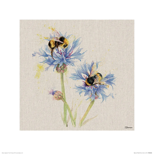 'Bees on Cornflowers' by Jane Bannon - Art Print on Paper