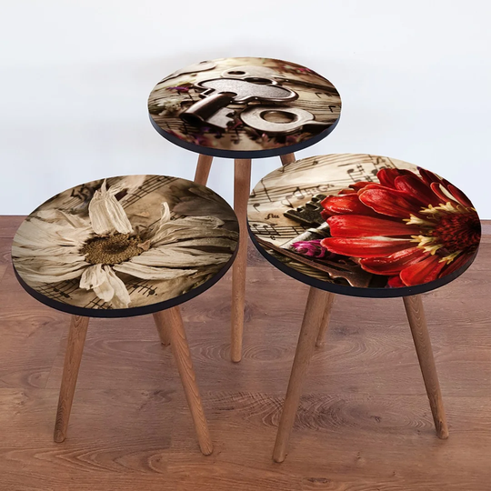 Banas 3 Piece Nest of Tables