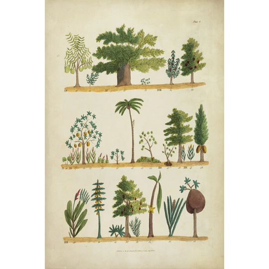 Arbor Sampler I by Tifford - Wrapped Canvas Painting