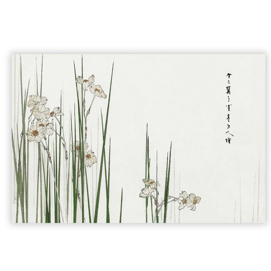 'Daffodils' by Watanabe Seitei - Unframed Painting Print on Paper