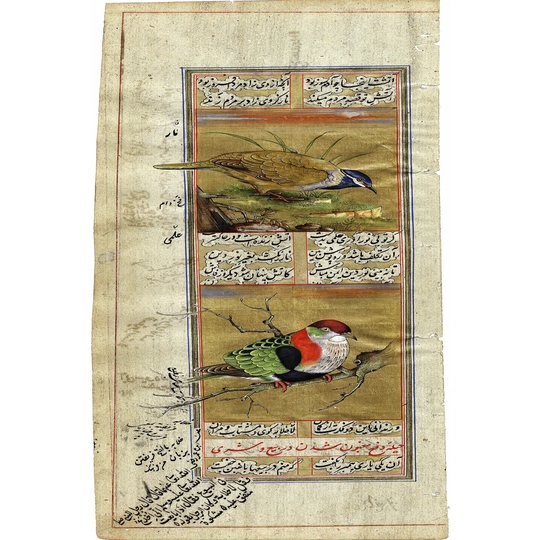 On FAP Bird Pair From India II - Wrapped Canvas Typography