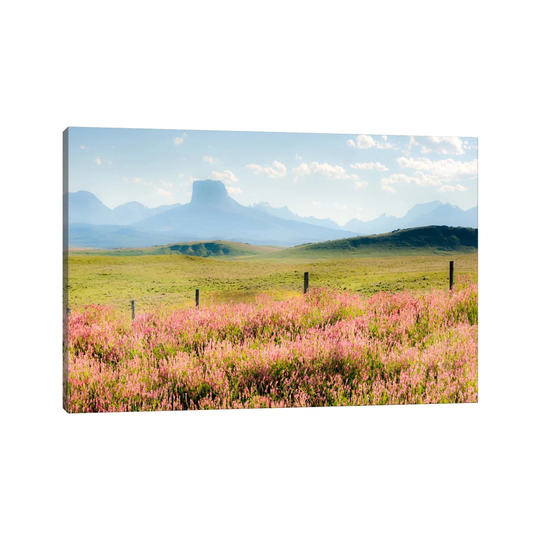 Alone the Way by Dan Ballard - Wrapped Canvas Art Prints