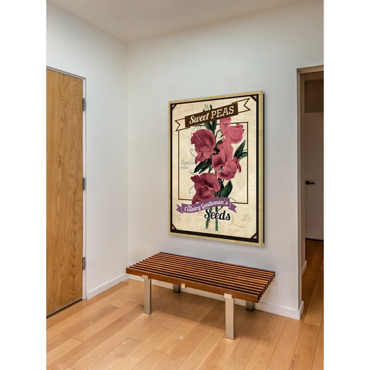 Flower Packet Sweet Peas - Wrapped Canvas Advertisement Print