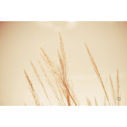 Summer Fields by Nathan Larson - Wrapped Canvas Photograph