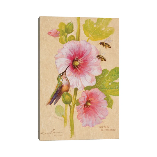 Rufous Hummingbird (F) and Honey Bees by Ezra Tucker - Graphic Art on Canvas