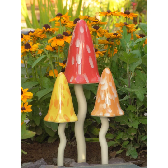 Jaya Mushrooms