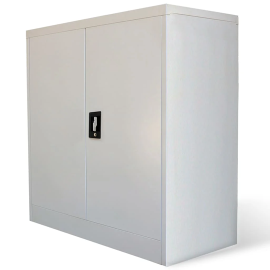 Lanny 2 Door Storage Cabinet