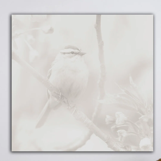 Little Bird - Wrapped Canvas Graphic Art Print