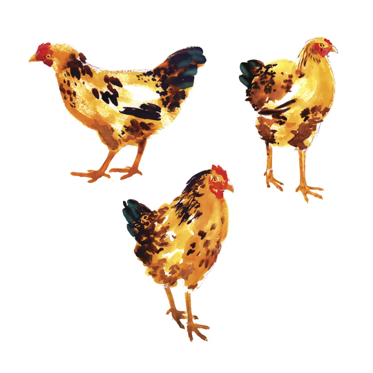 Set with Orange-Red Hens and Roosters - Wrapped Canvas Graphic Art