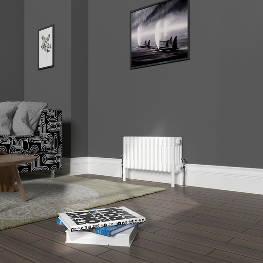 NRG - Traditional 4 Column Radiator Cast Iron Style Heating Rads Horizontal White 300x605mm
