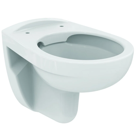 Wall Hung Toilet with flush