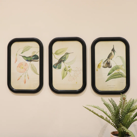 Set Of 3 Botanical Bird Wall Prints