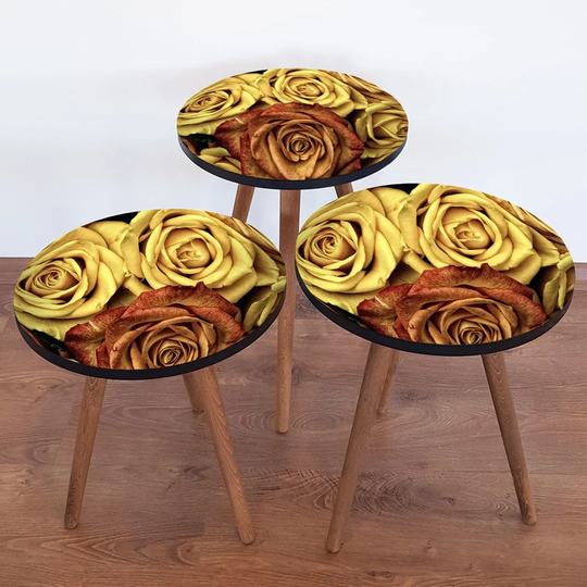 Avelar 3 Piece Nest of Tables