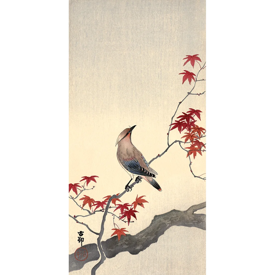 'Japanese Waxwing on Maple' Graphic Art Print on Canvas