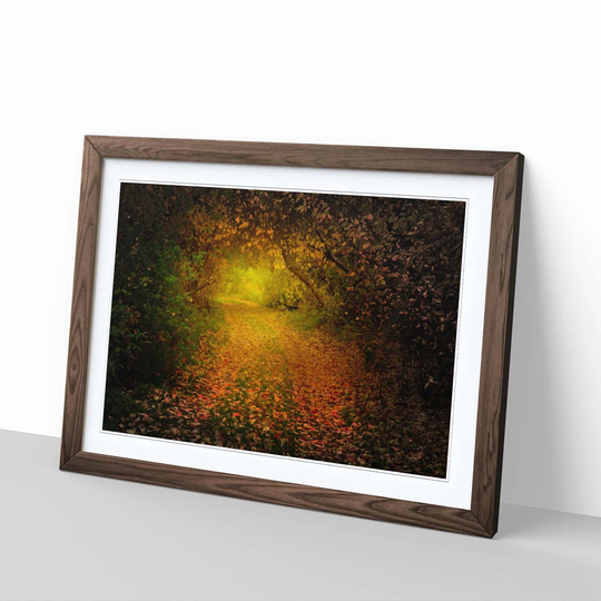 'Landscape Autumn Forest Wood 6' Framed Photographic Print